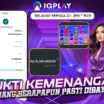 IGPLAY-BNI BIASA (1)