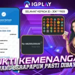 IGPLAY-BRI (2)